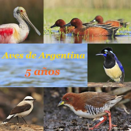 Quinto aniversario de Aves de Argentina