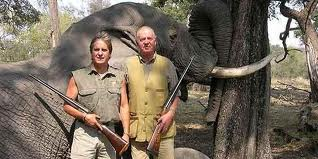 Comisiones de investigación y sistema político