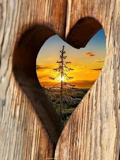 LA TARDE ESTABA GRIS...