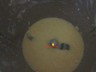 PEPITOS RELLENOS DE CREMA EN THERMOMIX Y TRADICIONAL