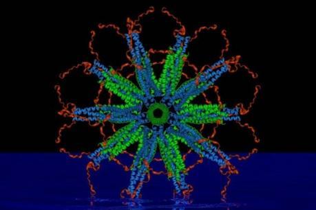 Nuevas vacunas desde la nanotecnología