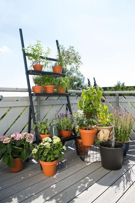 set herramientas balcón riego automático pulverizador plantas balcón jardineria urbana diseño exteriores decoración exteriores city gardening accesorios jadín #growanyspace 