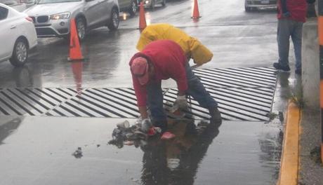 Piden a la ciudadanía no tirar basura para evitar inundaciones