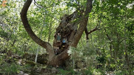 Ruta de miradores de la Ribeira Sacra