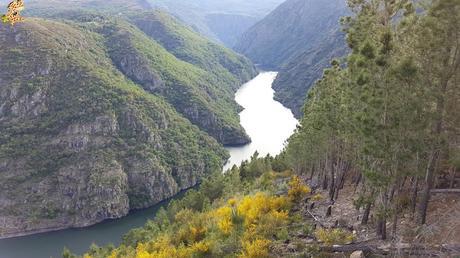 Ruta de miradores de la Ribeira Sacra