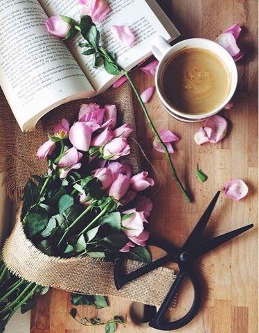 Wrap Up Mayo y junio (2017)