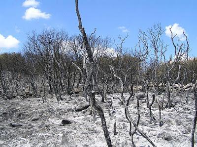 Extinción de incendios