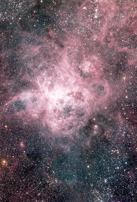 ✨Territorio Tarántula