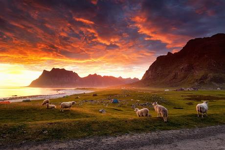 Stian Klo, paisajes mágicos de las regiones árticas