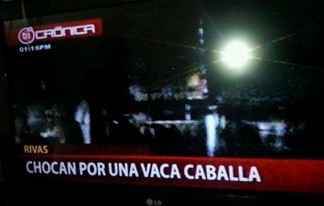 17 Noticias extrañamente ciertas que te dejarán con la boca