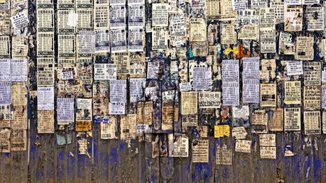 Este artista chino se esconde en el ambiente ¿lo puedes ver?