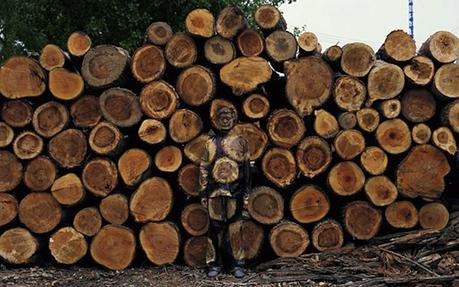 Este artista chino se esconde en el ambiente ¿lo puedes ver?