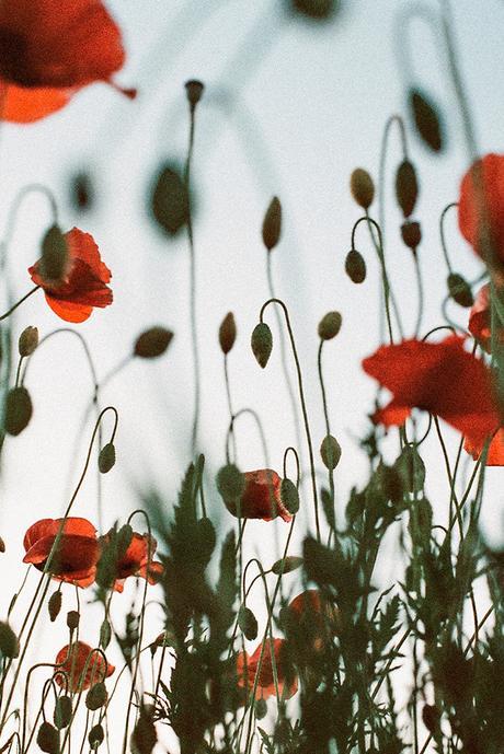 INSPIRATIONAL MONDAY #38 INSPIRATIONAL MONDAY #38