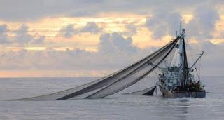 Consejos para poner en marcha un negocio de pesca sostenible