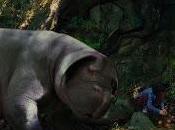 linea: Okja