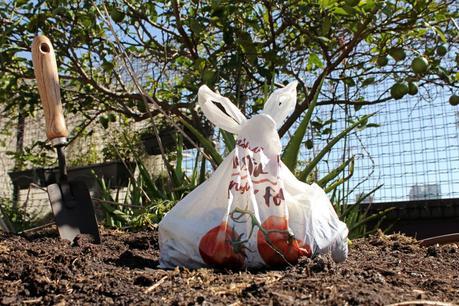 Bolsas biodegradables con semillas para ayudar a cuidar el medio ambiente