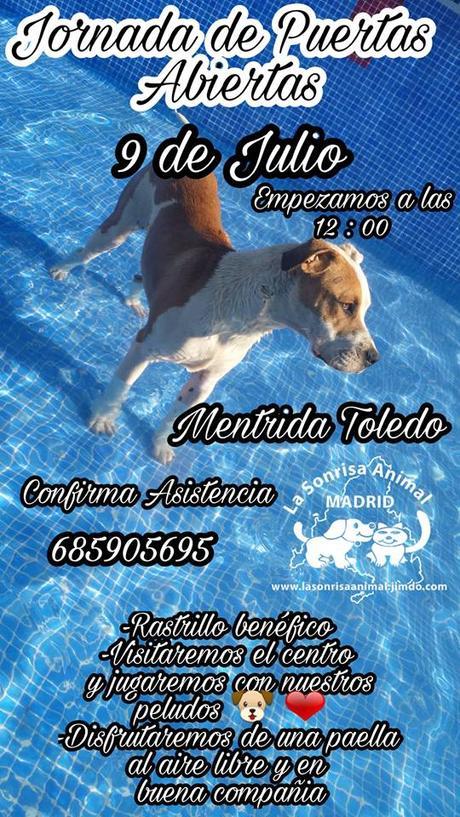Jornada de puertas abiertas en La sonrisa animal. 9 de julio. jornada puertas abiertas lasa