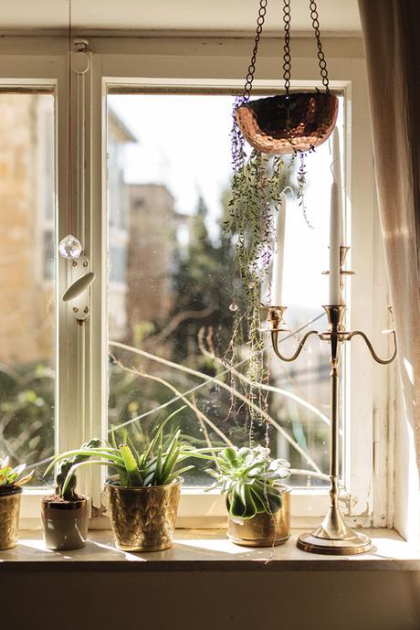 macetas de latón y cactus para decorar la ventana
