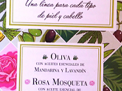 Descubriendo Drasanvi