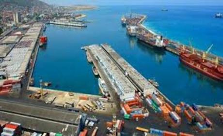 Arribaron 450 contenedores con alimentos, ganado y productos agroquímicos