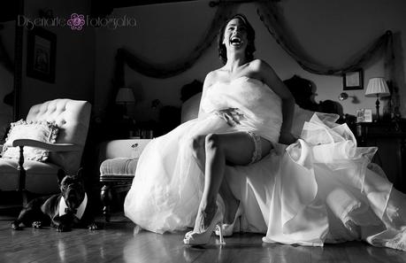 gestion preboda fotografo