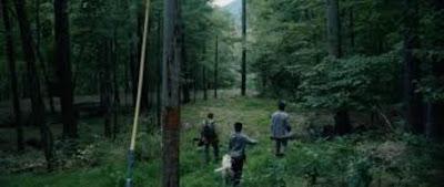 Llega de noche, El desconocido que llevamos dentro