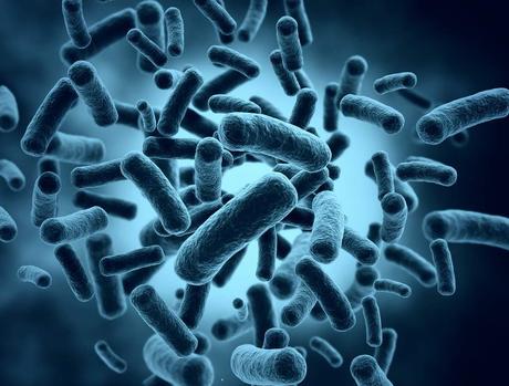 Klebsiella, una bacteria para descontaminar el agua
