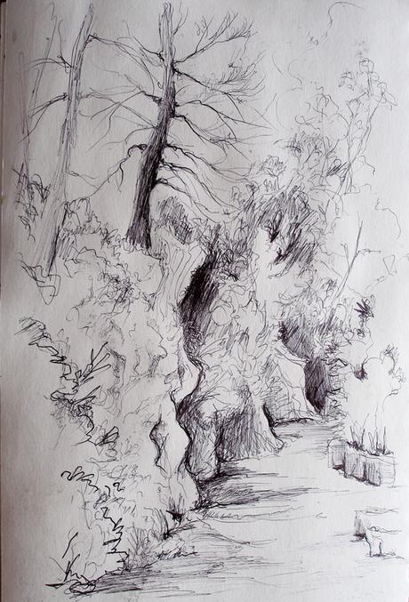 Cazorla - Hornos. 2017