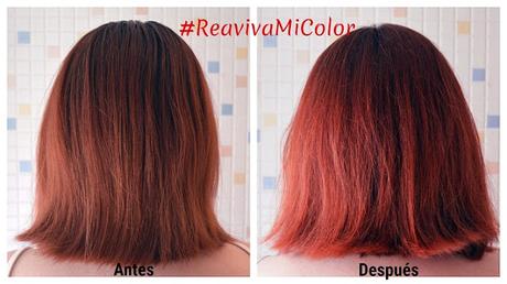 “Reaviva Color” de SCHWARZKOPF – mantiene el color intenso del cabello entre coloraciones (proyecto de TESTAMUS)