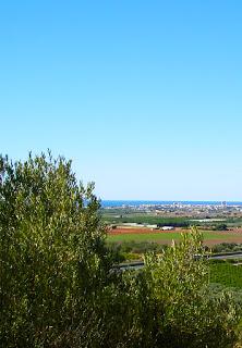 Talleres ibéricos en el Puig de la Nao de Benicarló.