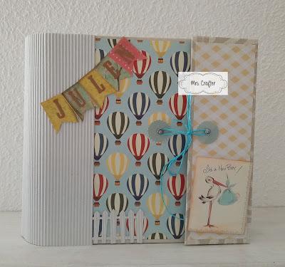 UN NUEVO ÁLBUM PARA UN BEBÉ