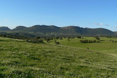 Análisis e ideas para luchar contra la despoblación rural de Castilla-La Mancha Análisis e ideas para luchar contra la despoblación rural de Castilla-La Mancha