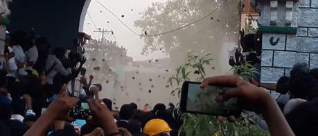 La batalla anual de la torta del estiércol de vaca