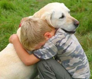 Los Perros: Amigos, compañeros, amor incondicional