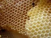 SALUD Remedio miel Himalaya contra insomnio