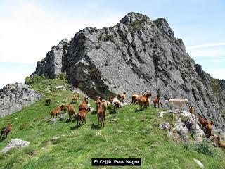 Mestres-Los Tornos-L' Aguabondeyu-La Rubieta-El Mayéu Mea-El Picu-Cuadrazu-La Foz l'Apertón