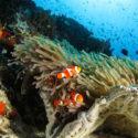 Pescador Island: Cuaderno de bitácora día 3