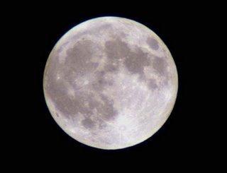 luna.jpg