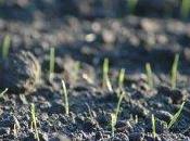 oportunidades para comprar activos alcance.