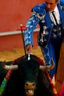 SUFRIMIENTO Y MATANZA: Tauromaquia y otros espectáculos taurinos