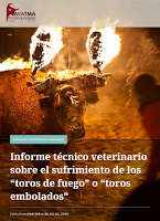 SUFRIMIENTO Y MATANZA: Tauromaquia y otros espectáculos taurinos