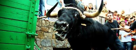 SUFRIMIENTO Y MATANZA: Tauromaquia y otros espectáculos taurinos