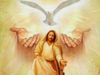 Monición de entrada para Misa del 9 de julio de 2017 (XIV domingo del T.O.)