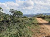 Como aquella Dejavú reloaded