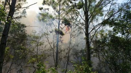 Controlado incendio forestal afectó más de 2 mil tareas en Sierra Bahoruco.