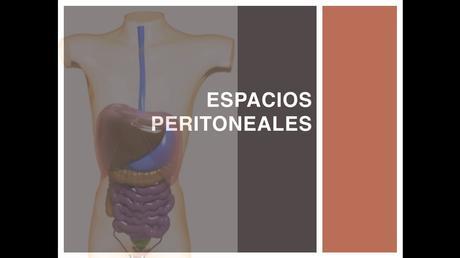 Anatomía espacios peritoneales