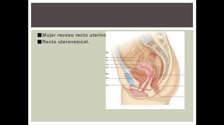 Anatomía espacios peritoneales