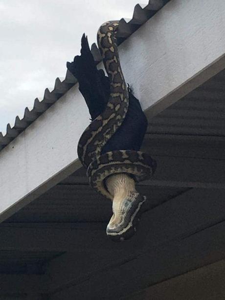 Imágenes que muestran que la naturaleza es aterradora