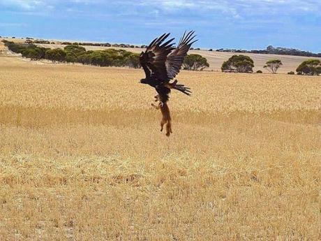 Imágenes que muestran que la naturaleza es aterradora