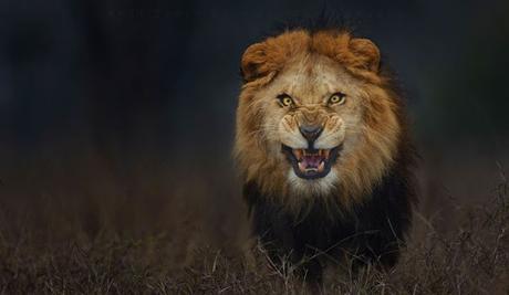 Imágenes que muestran que la naturaleza es aterradora